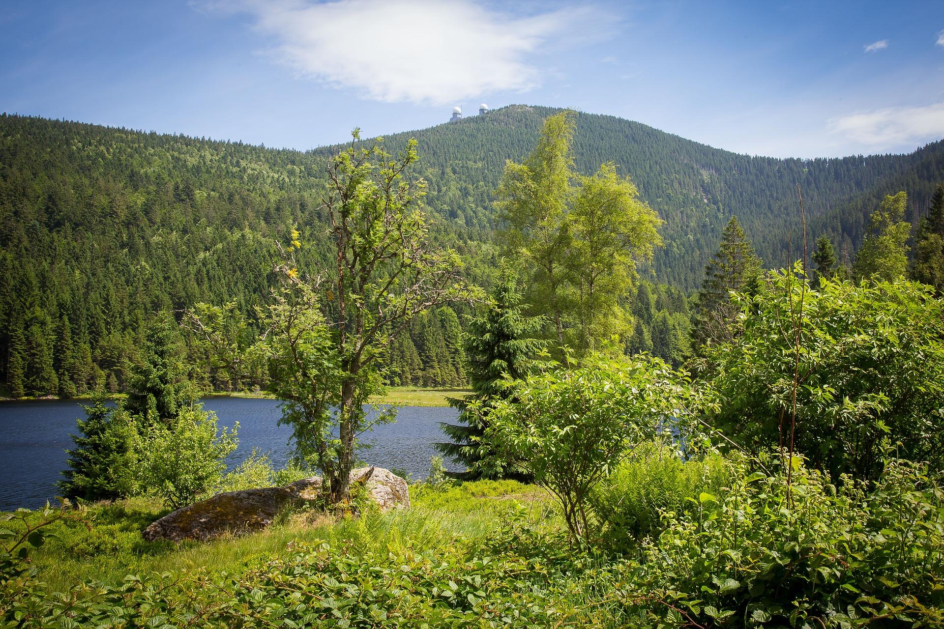 Ausblick zum Arbersee und zum Großen Arber