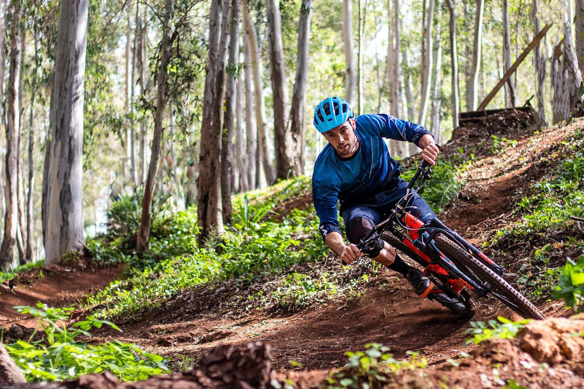 Mountainbiker auf Abfahrt im Bayerischen Wald