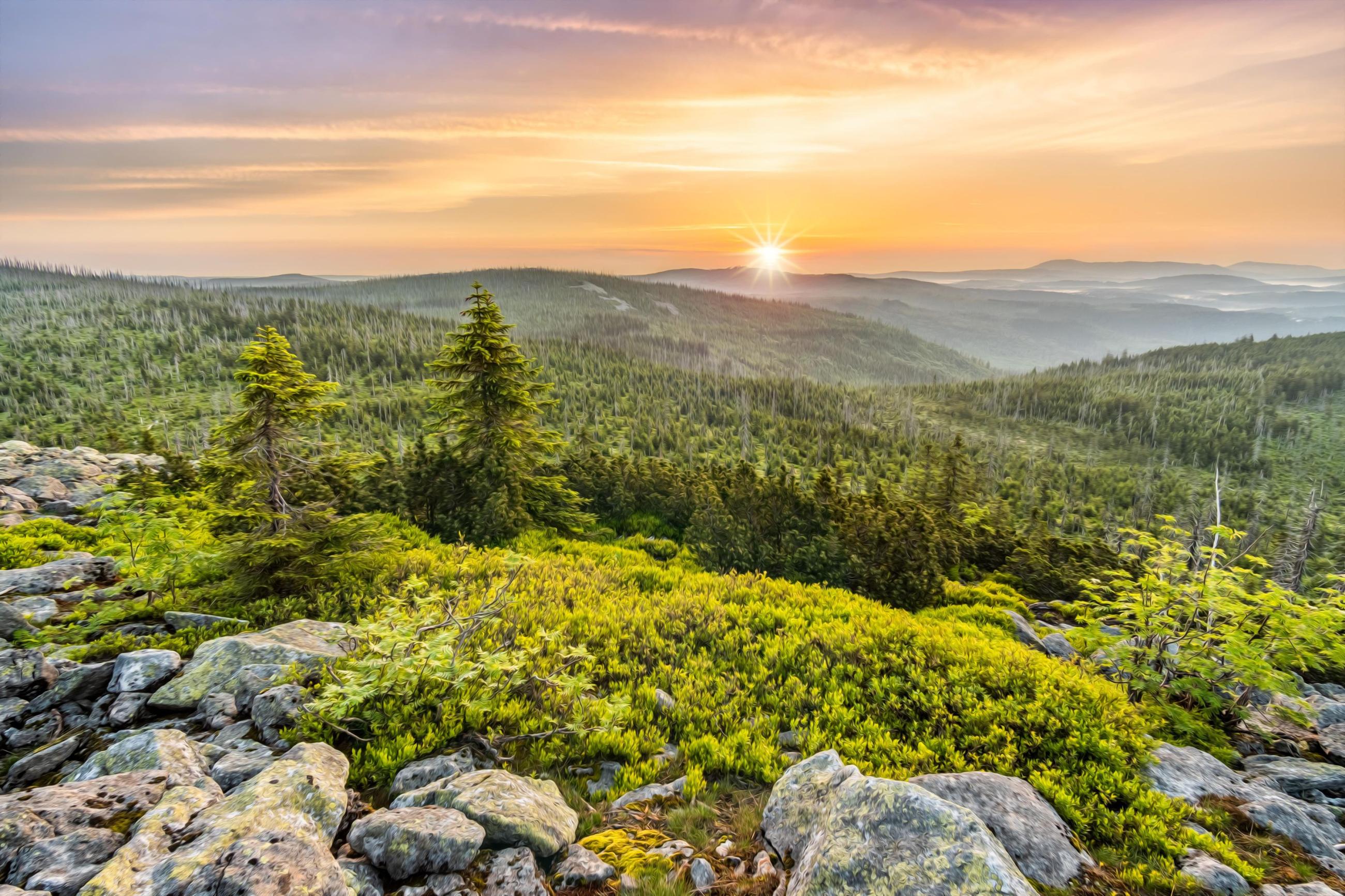 Urlaub Bayerischer Wald - Ausblick vom Lusen