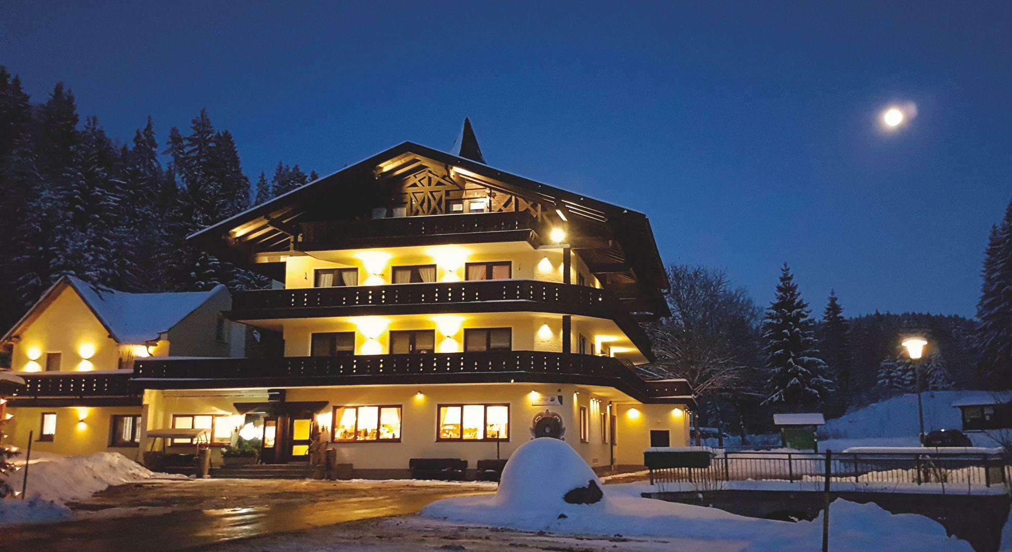 Winternacht im Bayerischen Wald