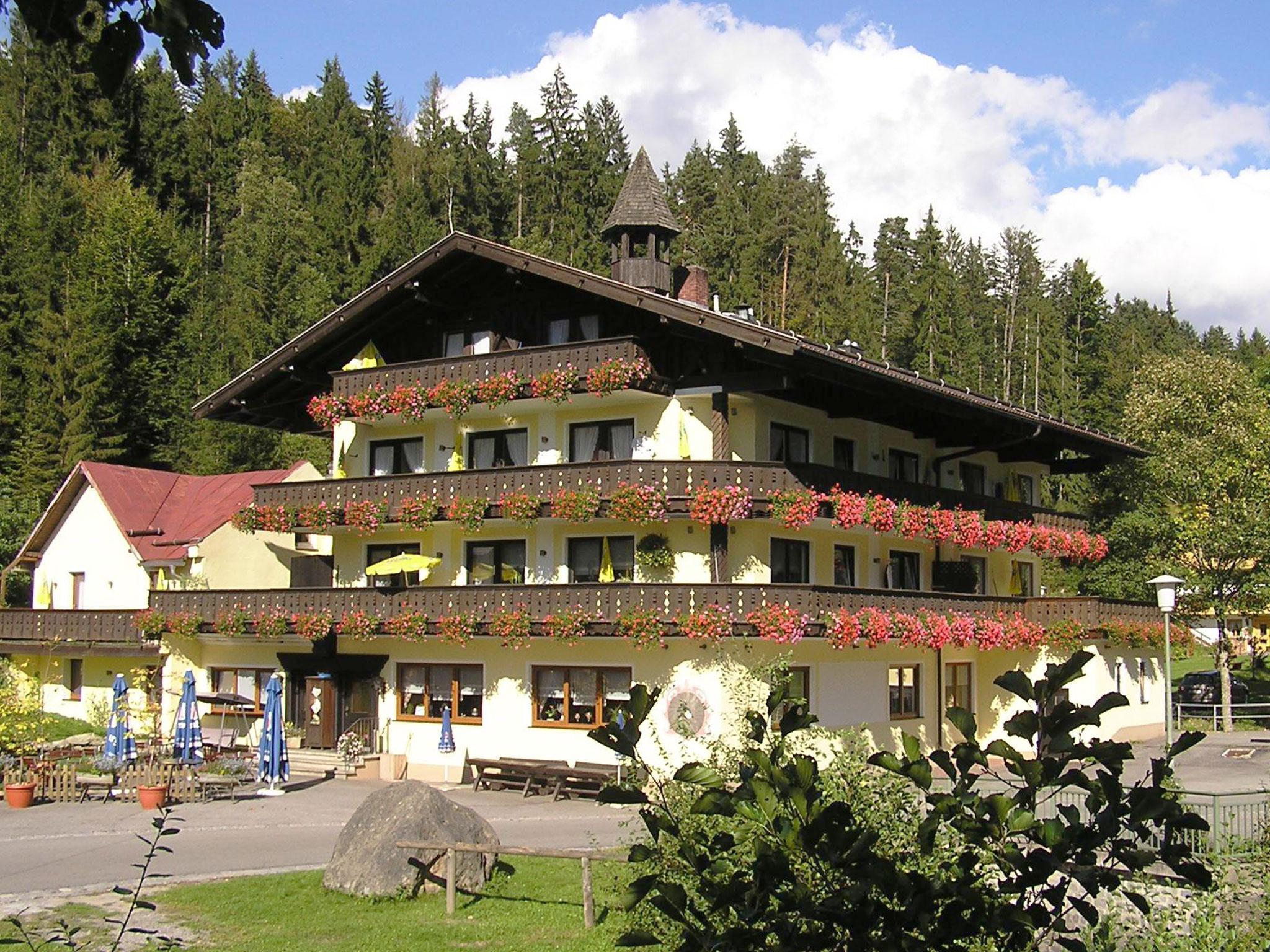 Natur- & Wanderhotel Mühle in Rinchnach, Bayerischer Wald