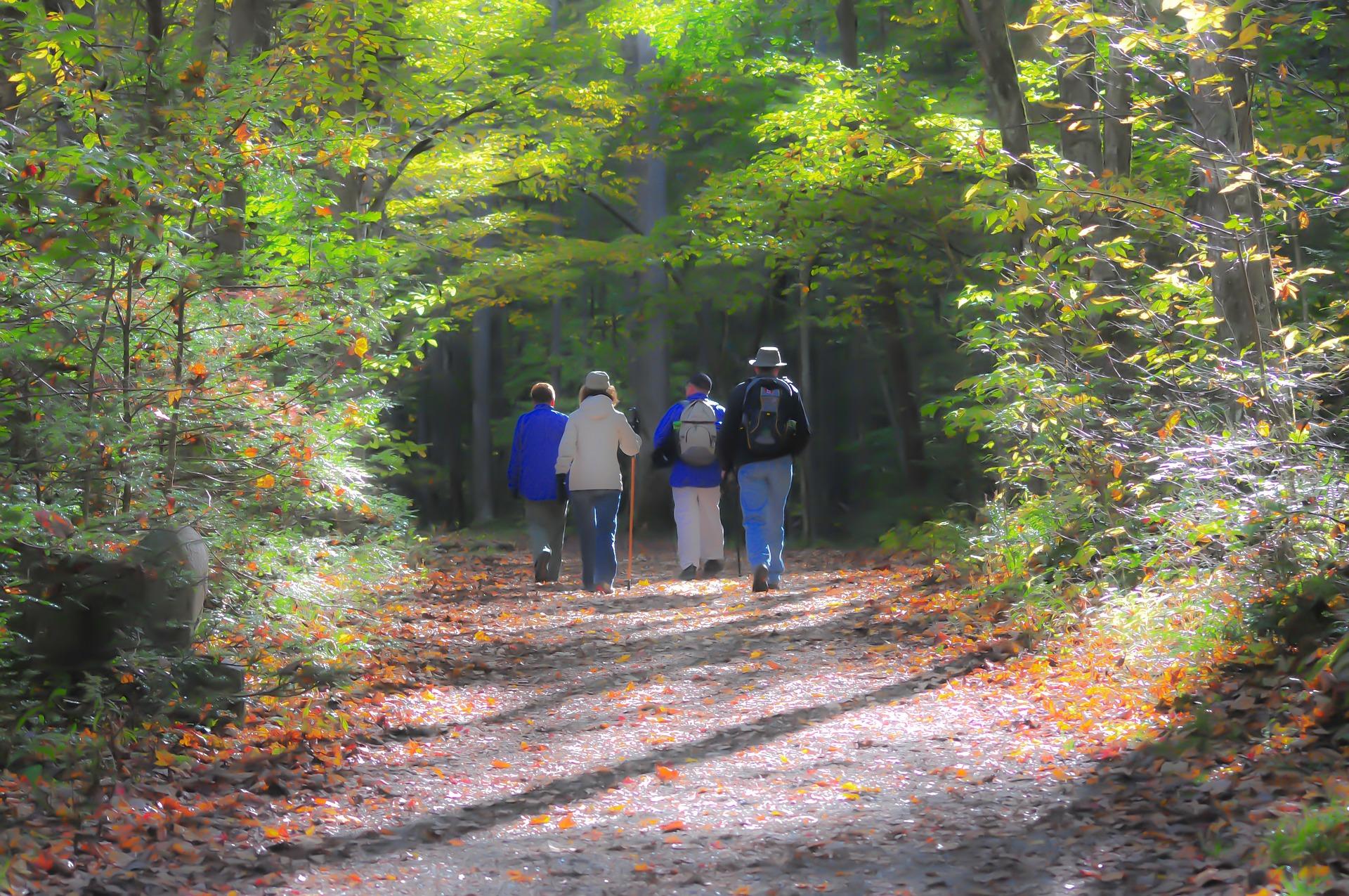 Wanderer im Bayerischen Wald