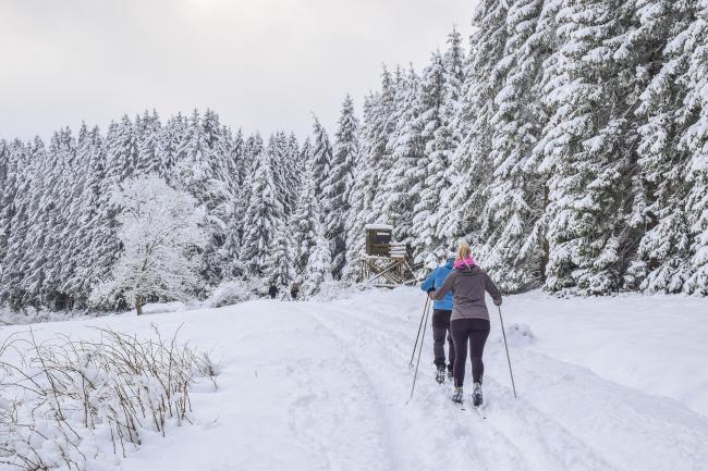 Skilanglauf im Bayerischen Wald