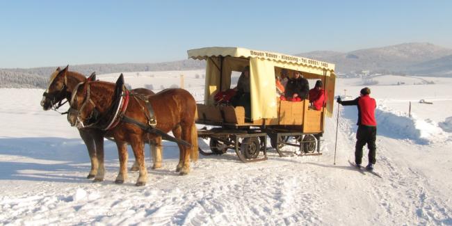 Eine Kutschenfahrt im Schnee ist ein Erlebnis für die ganze Familie