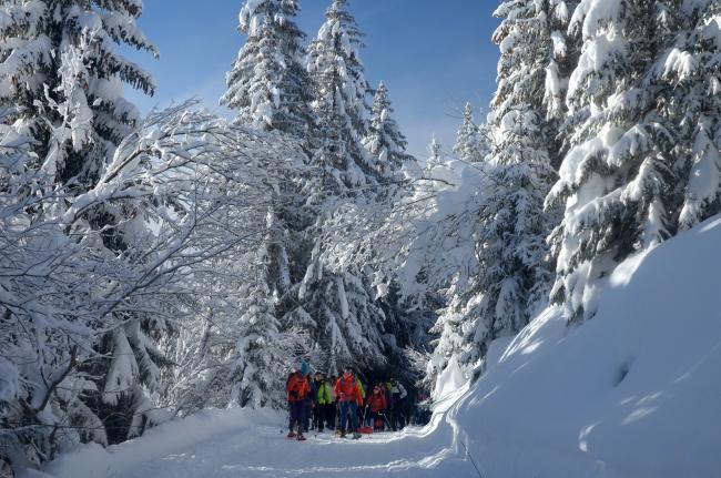 Schneeschuwandern im Bayerischen Wald