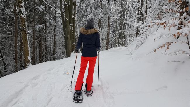 Schneeschuhwanderung im Bayerischen Wald