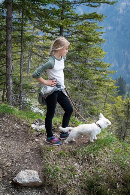 Urlaub mit Hund im Bayerischen Wald