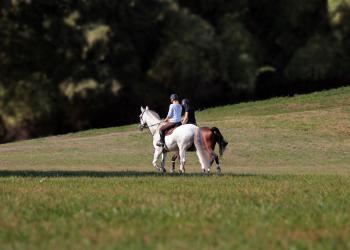 Ausreiten im Bayerischen Wald