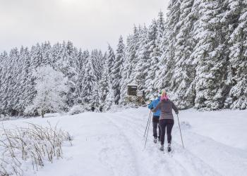 Skilanglauf im Bayerischen Wald