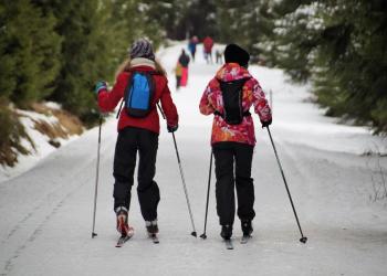 Skilanglauf im Bayrischen Wald