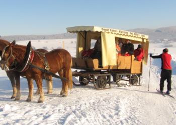 Eine Kutschenfahrt im Schnee ist ein Erlebnis für die ganze Familie