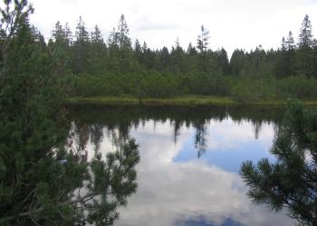 Latschensee