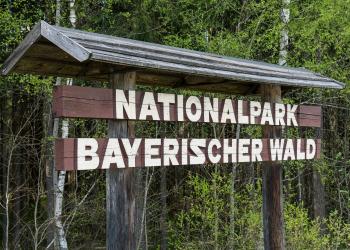 Willkommen im Nationalpark Bayerischer Wald