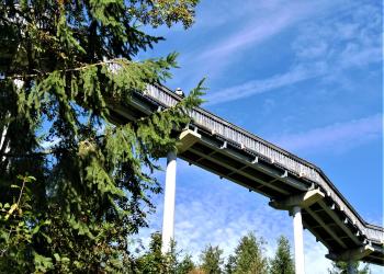 Waldwipfelweg im Bayerischen Wald