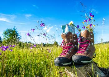 Wanderurlaub im Bayerischen Wald