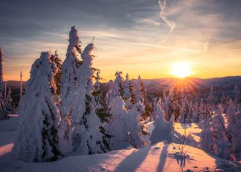 Winterurlaub Bayerischer Wald: ist sowohl idyllisch-ruhig als auch sportlich