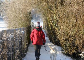 Wandern mit Hund im Winter
